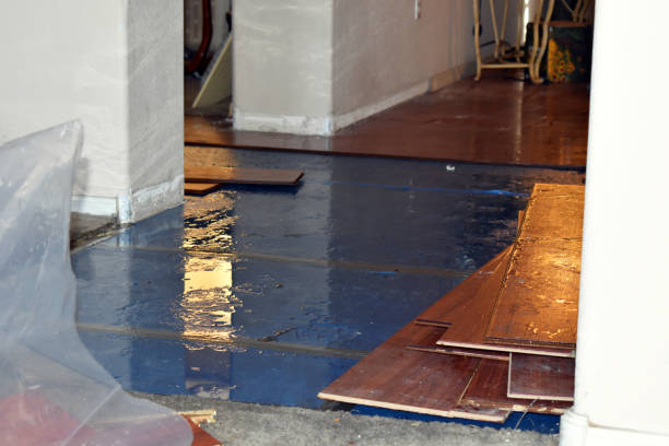 Professional Burst Pipe Cleanup technician working in Newcomerstown, OH